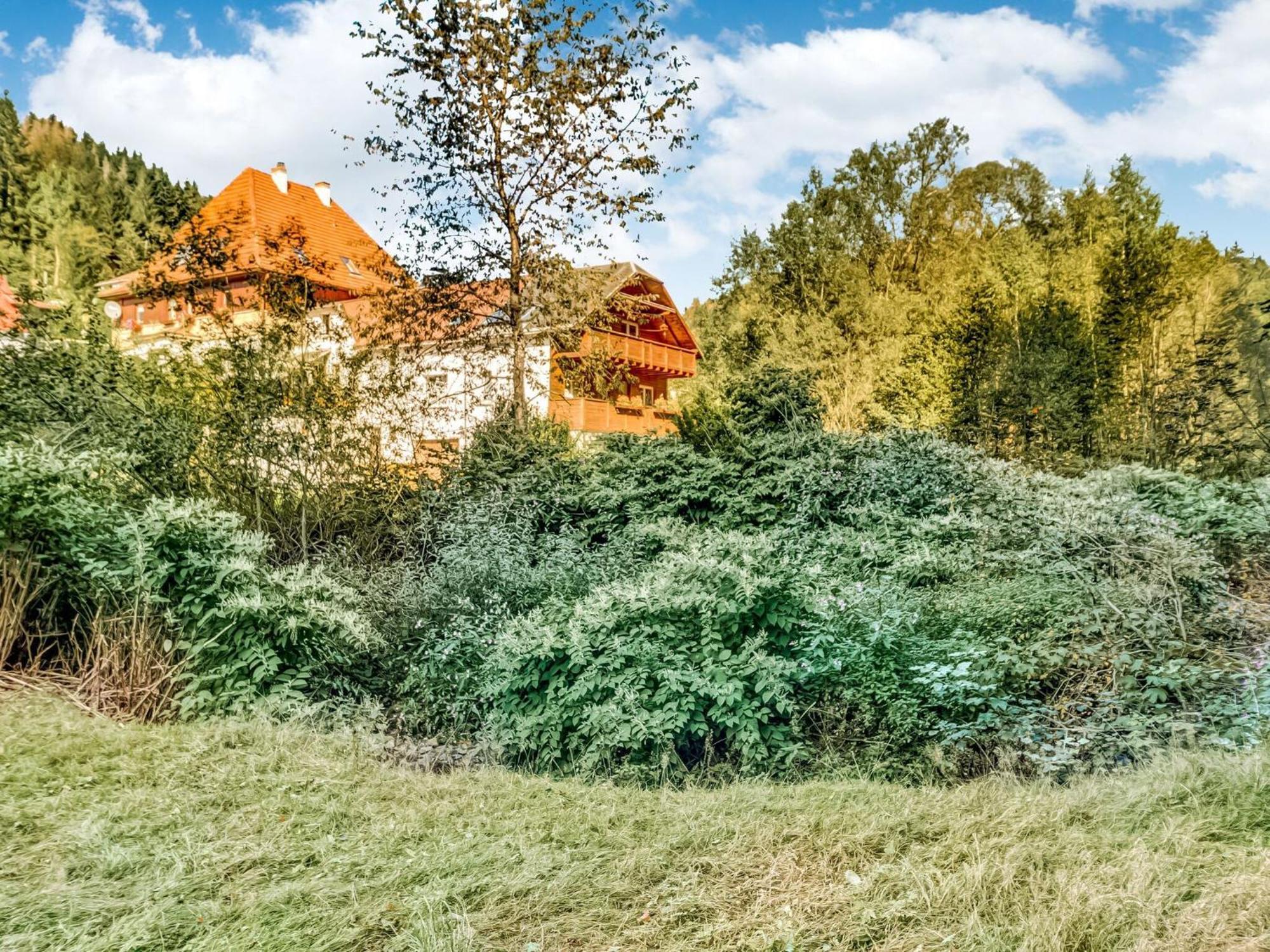 Apartment Thuringian Forest With Balcony Giessubel Exterior photo